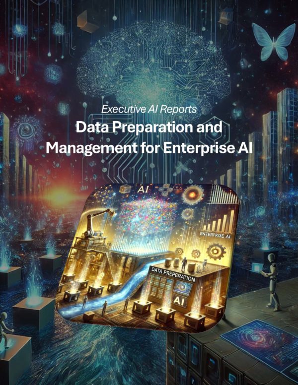 Data Preparation and Management for Enterprise AI